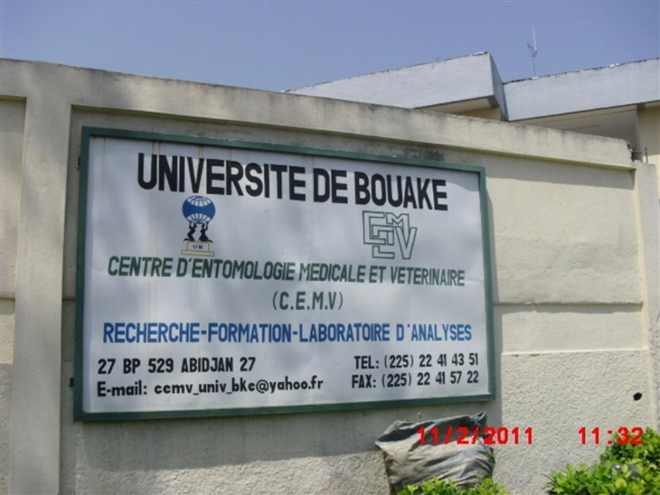 Enseignement Supérieur : L`université de Bouaké relocalisée  à Bouaké dans trois mois